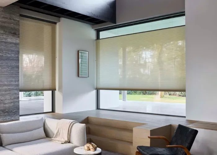 Afbeelding 1 Luxaflex Duette en Plisse actie 700x500