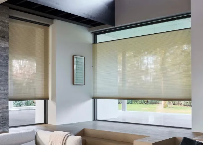 WinterSale Luxaflex Duette-Plisse 2 700x500 WinterSale Luxaflex Duette-Plisse 2 700x500