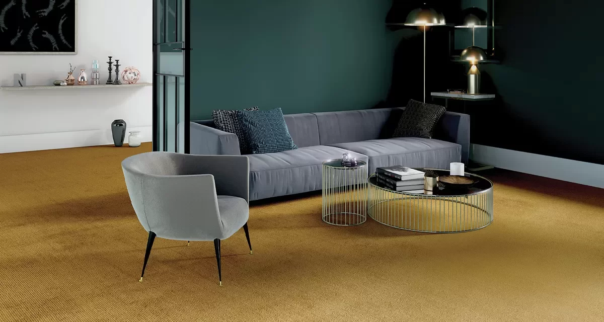 Tapijt omgeving Zaandam